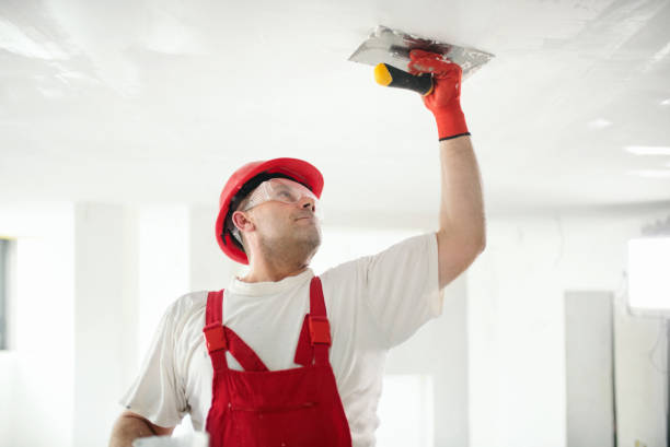 Best Ceiling Drywall Installation  in North Bellport, NY